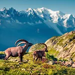 Apartmán Clusettes - Happy Chamonix